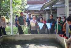 Perluas Lapangan Kerja, Bukit Asam (PTBA) Dorong Budidaya Ikan Gabus di Desa Tanjung Agung