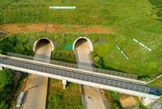 Dua Rekor Nasional! JTTS Hadirkan Jembatan & Terowongan Tol Terpanjang di RI