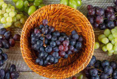 Kamu Harus Tau! 7 Manfaat Buah Anggur untuk Kesehatan , Tubuh Sehat dan Bugar Secara Alami!