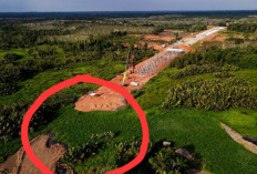 Potret Pembangunan Tol Palembang-Betung Kendala Lahan: Angan Akses Cepat Mesti Lebih Sabar