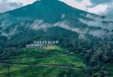 Eksplor Gunung Dempo Pakai Skuter Listrik, Wisata Alam Makin Seru!