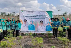 Desa Sukamaju Tingkatkan Ketahanan Pangan melalui Pertanian Cabai dan Sayuran