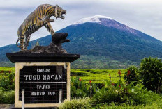 Ini Tiga Gunung Tertinggi di Sumatera yang Memesona. Kamu Bisa Tebak Lokasinya di Mana?