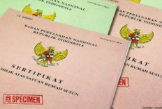 Jangan Hanya Lihat Sertifikat, Cek Juga Status Tanah Apartemen Sebelum Membeli