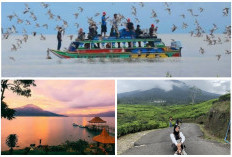Orang Sumsel Sendiri Gak Nyadar! 3 dari 5 Wisata Alam Favorit Bule, Kenapa?