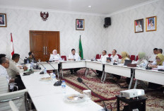 Sumsel Jadi Pusat Energi Hijau: Pabrik Bioavtur dari Kelapa Dibangun di Banyuasin