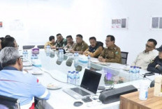 Bupati Edison Minta PT SERD Beri Listrik Gratis ke Warga 