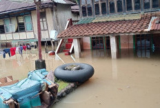 Diguyur Hujan Semalaman, 30 Rumah Terendam Banjir