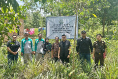 Kejari Muara Enim Eksekusi Penyitaan Tanah Terpidana Korupsi Dana Desa Kades Tanjung Medang 