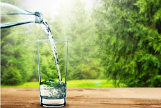 Sibuk tapi Mau Kurus? Ini 8 Trik Diet Sehat yang Gak Bikin Kamu Kewalahan!