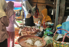 Harga Daging Ayam Naik Dua Kali Lipat