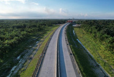 Tol Raksasa Ubah Sumsel: Jalan Cepat Menuju Pusat Ekonomi Baru Indonesia