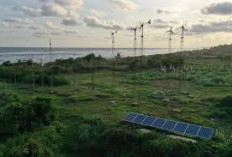 Dulu Terabaikan, Kini Jadi Pusat Energi Hijau dan Proyek Triliunan – Sumsel Siap Saingi Ibukota!