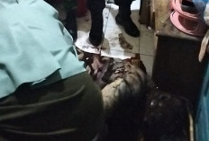 Warga Ujan Mas Baru Ditemukan Tewas Membusuk 
