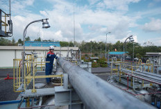 PEP Prabumulih Field Tingkatkan Produksi Sumur PBM-025 hingga 205 BOPD Berkat Well Service