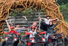 Desa BRILiaN di Lereng Gunung Merapi Sukses Kembangkan Wisata Alam dan Agrikultur