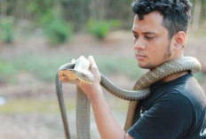 5 Fakta Unik Tentang Panji Petualang