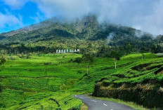 Jadi Permata di Sumsel, Gunung Ini jadi Magnet Pengunjung Wisatawan.