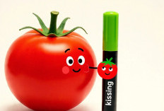 Apakah Benar Tomat Dapat Membuat Wajah Menjadi Cerah?