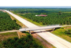 Libur Lebaran 2026 Jadi Momentum Emas, Tol Sumsel Ubah Arus Mudik Sekaligus Peta Ekonomi Regional