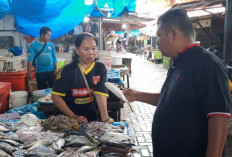 Cari Seafood Segar di Lampung, Ini Tempatnya Cuma  5 Menit dari Kota