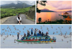 Kenapa Orang Asing Lebih Suka ke 3 dari 5 Destinasi Wisata Alam Internasional di Sumsel Ini? 