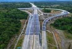 Inilah Tol Pertama di Indonesia dengan Terowongan Gajah: Harmoni Infrastruktur dan Alam