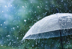 Peringatan Dini BMKG Jumat 5 Juli 2024 Waspada Cuaca Ekstrem di Sumsel: Potensi Hujan Lebat dan Angin Kencang