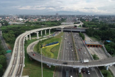 15 Proyek Raksasa Ubah Sumsel Jadi Pusat Ekonomi Baru Indonesia, Ini Daftarnya!