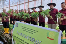 Warga Binaan Lapas Muara Enim Panen Kangkung Hasil Budidaya