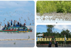 Lokasinya Tetangga Palembang: Wisata Alam Permata Menawan Bagai di Afrika 