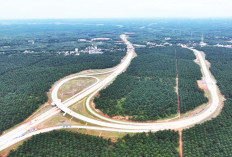 Tol Sumsel Ubah Arah Ekonomi: Dari Jalan Cepat Jadi Mesin Investasi Masa Depan