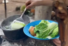 10 Manfaat Sayur Rebus! Makanan yang sehat dan lezat