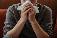 3 Jenis Rhinitis Dalam Dunia Medis