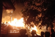 Niat Usir Nyamuk, Rumah Ludes Terbakar