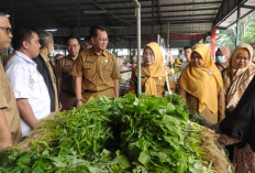 Pemkab Muara Enim Subsidi 4 Jenis Sayur-sayuran 