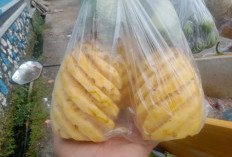 Sudah Tahu Belum 4  Manfaat Nanas Untuk Wajah? Yuk Simak Penjelasannya