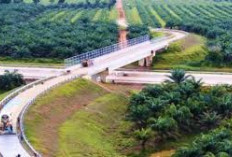 Pengaruh Ekonomi dan Infrastruktur adanya Jalan Tol, Buka Peluang Investasi Sumsel dan Dorong Kemajuan Daerah