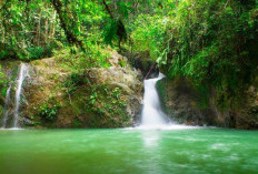 7 Fakta Air Terjun Batu Dinding dengan 7 Tingkatan Eksotis, Surga Tersembunyi di Kampar yang Wajib Dikunjungi