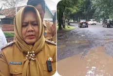 Wabup Sumarni Beri Tenggat PT DBU Perbaiki Jalan Rusak Berlubang