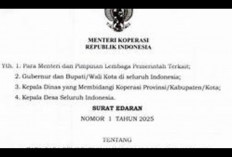 Gaji Pengurus Koperasi Merah Putih: Fakta di Balik Isu dan Mekanisme Penetapannya