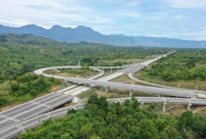Tol Palembang–Jambi Hampir Tersambung! Perjalanan 7 Jam Bisa Cuma 2 Jam, Ekonomi Sumatera Bersiap Melejit