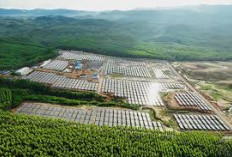 Proyek Strategis Nasional Pendorong Perubahan, Energi Hijau: Pilar Masa Depan Sumsel  