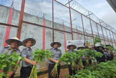 Lapas Muara Enim Panen Raya dan Pembagian Bansos Serentak