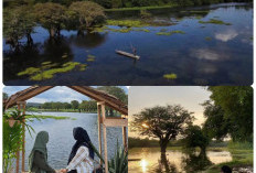 Punya Destinasi Alam Menawan, Ini Wisata Padang dan Sungai Hits di Muara Enim