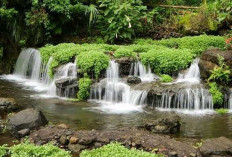 Pagar Alam Kian Bersinar, Gunung Dempo Jadi Surga Healing dan Spot Foto Favorit Wisatawan