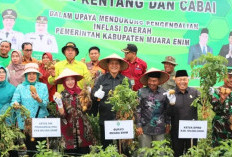 100 Hari Kerja: Edison-Sumarni Wujudkan Perubahan Muara Enim MEMBARA