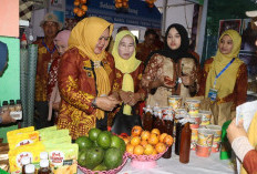 Sumarni Dorong Transformasi Teknologi Pertanian Demi Swasembada Pangan