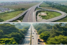 Akhirnya Palembang-Jambi Tertembus Tol setelah 60 Melalui Jalan Umum