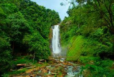 Muara Enim Punya Air Terjun Tertinggi di Sumsel, Ini Lokasinya!